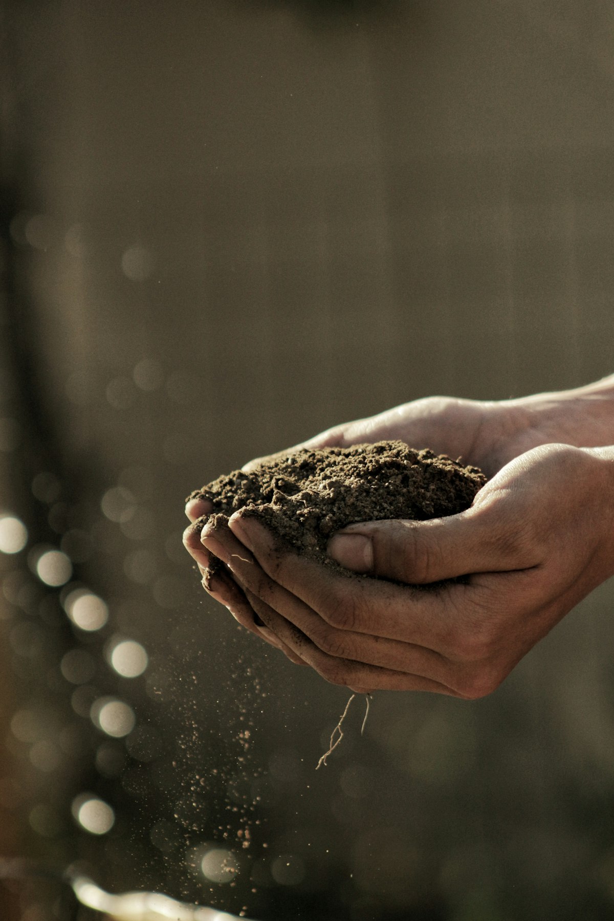 Mains de producteur tenant la terre